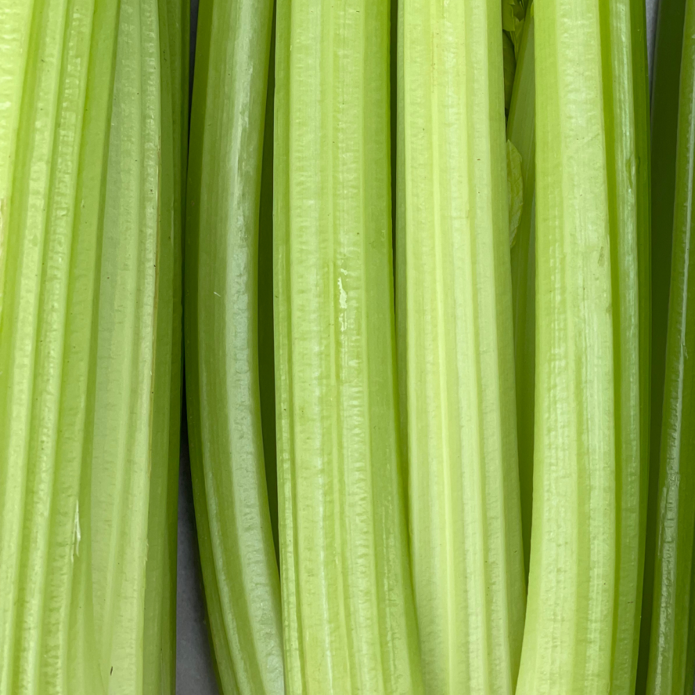 Celery Bleekselderij